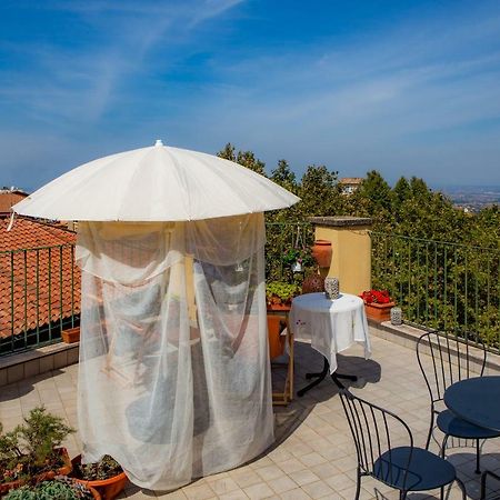 B&B Buonfiglio Cicconcelli - Terrazza Panoramica Frascati Bagian luar foto