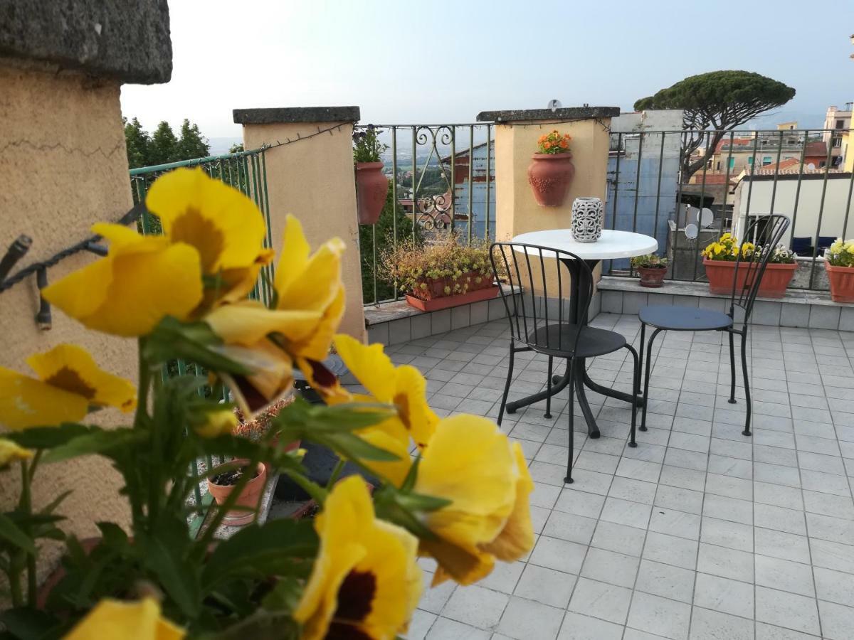 B&B Buonfiglio Cicconcelli - Terrazza Panoramica Frascati Bagian luar foto